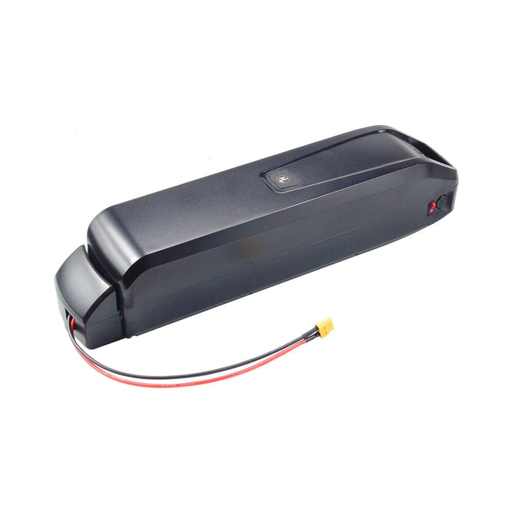 Ebike Battery 48V 20Ah Hailong - 新型S20 Pro 48V 13Ah/20Ah Hailong電動自転車バッテリー（Actbestカーゴ電動自転車用、750W/1000Wモーター対応、充電器付属）